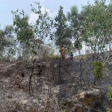Medan Sulit Dijangkau, Pemadaman Kebakaran Semak Belukar di Kampung Jabi Dilakukan Manual
