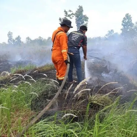 Kerugian Karhutla Tembus Rp123 Triliun, Harga Mahal Kegagalan Pencegahan