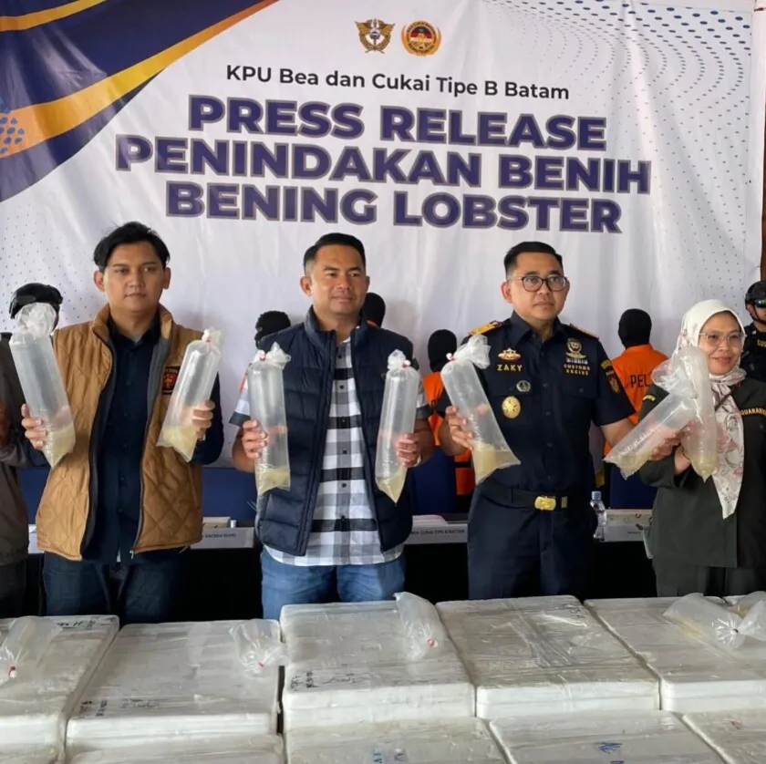 Bareskrim Gagalkan Penyelundupan Lobster dari Depok, 73 Ribu Benih Dibawa ke Batam