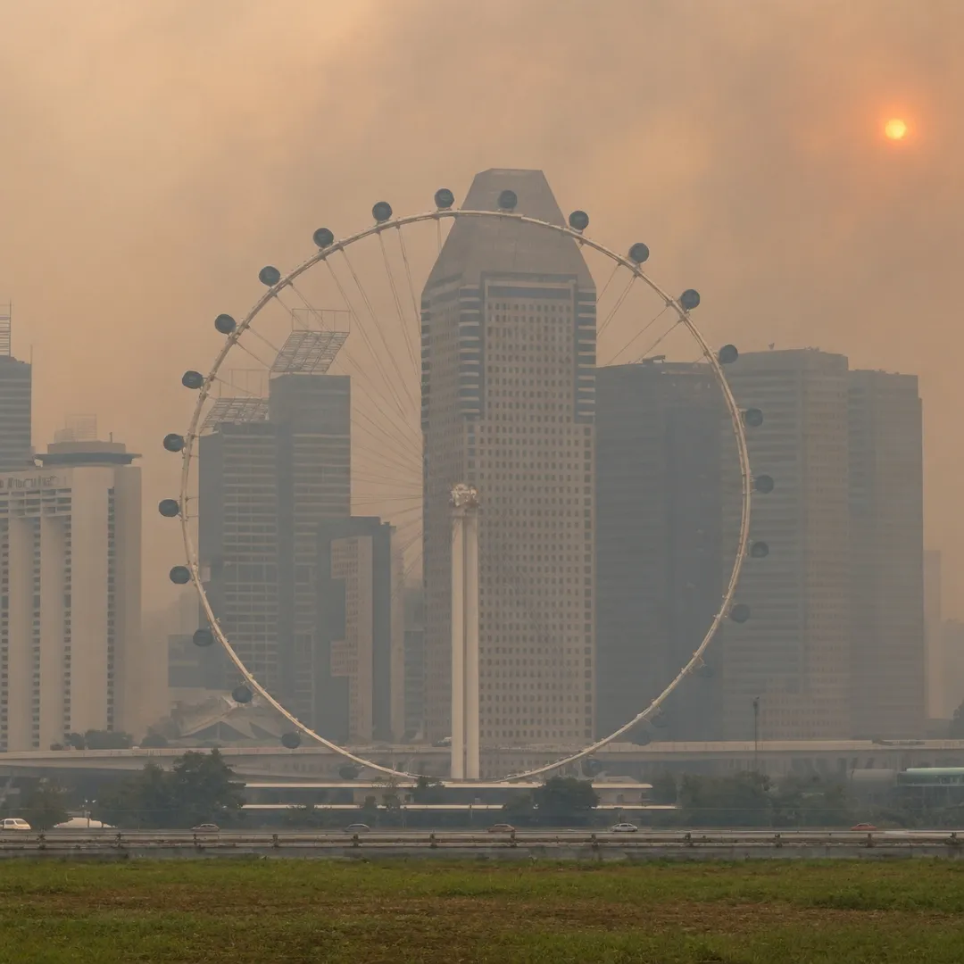 Hutan Sumatera dan Kalimantan Terbakar, Rakyat ASEAN Menanggung Kerugian